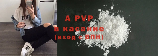 стаф Медвежьегорск