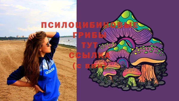 гидропоника Медногорск