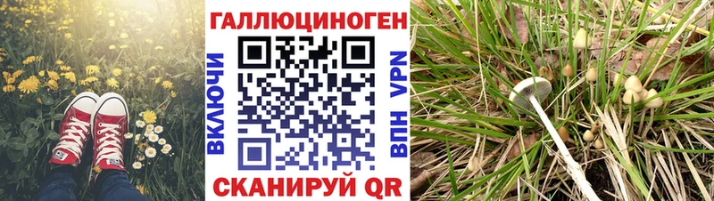 Галлюциногенные грибы GOLDEN TEACHER  Купить где  Нюрба 